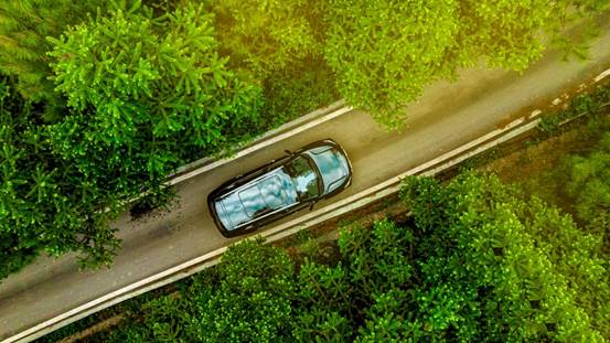DJI_0272